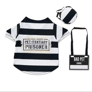 Pet Halloween costume…inmate jail prisoner